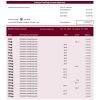 Fake Shizuoka Bank organization Business Bank Statement