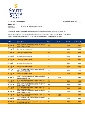 Fake South State Business Bank Statement