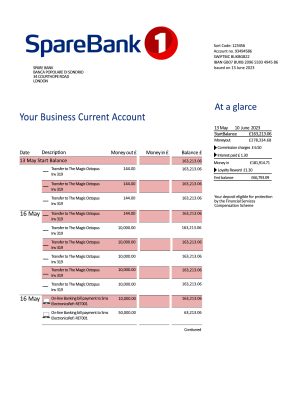 Fake Sparebank Business Bank Statement