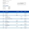 Fake Svenska Handelsbanken Business Bank Statement