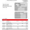 Fake Synovus Business Bank Statement