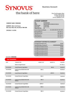Fake Synovus Business Bank Statement