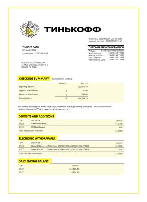 Fake TINKOFF Business Bank Statement