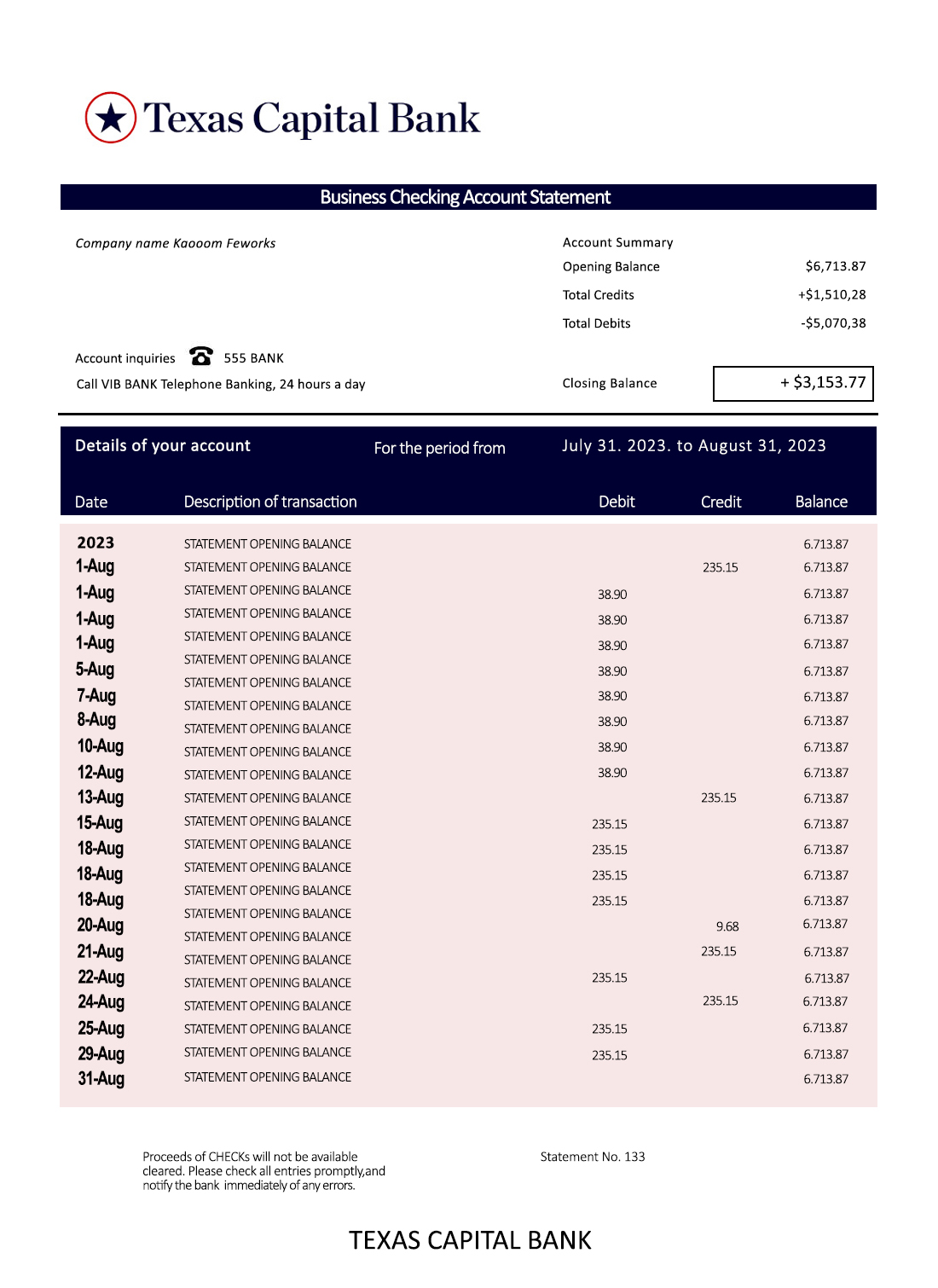 Fake Texas Capital Business Bank Statement