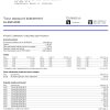 Fake Truist Business Bank Statement