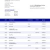 Fake Ulius Baer Business Bank Statement