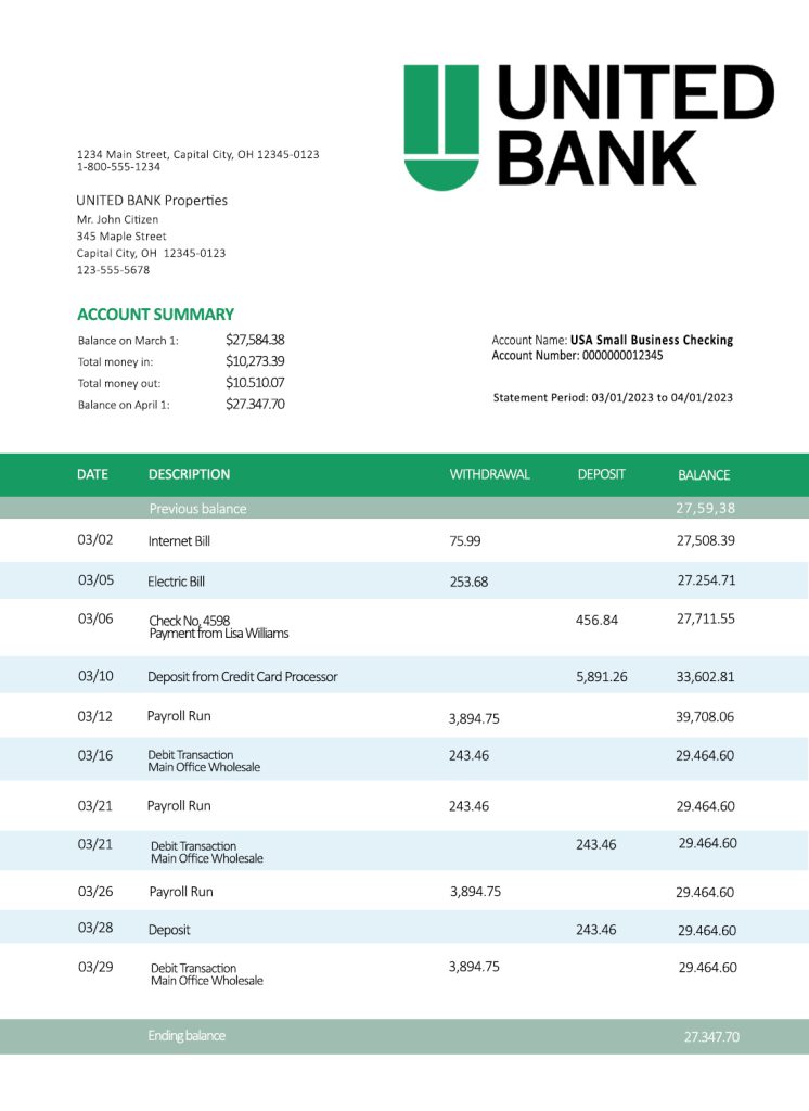 Fake United Business Bank Statement