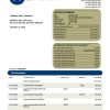 Fake VP Business Bank Statement