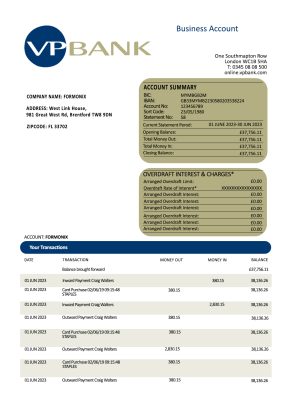 Fake VP Business Bank Statement