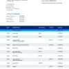 Fake VTB Business Bank Statement