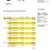 Fake Valley National Business Bank Statement