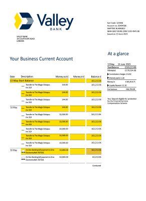 Fake Valley National Business Bank Statement