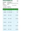 Fake Vietcombank Business Bank Statement (Excel)