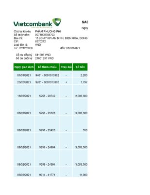 Fake Vietcombank Business Bank Statement (Excel)