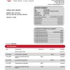 Fake Wing Lung Business Bank Statement