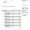 Fake Yapi Kredi Business Bank Statement