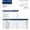 Fake de Chile organization Business Bank Statement
